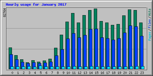 Hourly usage for January 2017