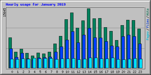 Hourly usage for January 2019