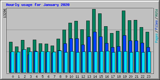 Hourly usage for January 2020