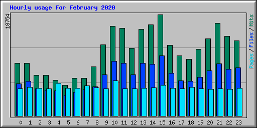 Hourly usage for February 2020